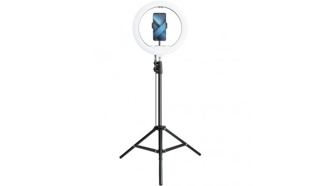 Blackmoon Self-portrait stand with LED (8563)