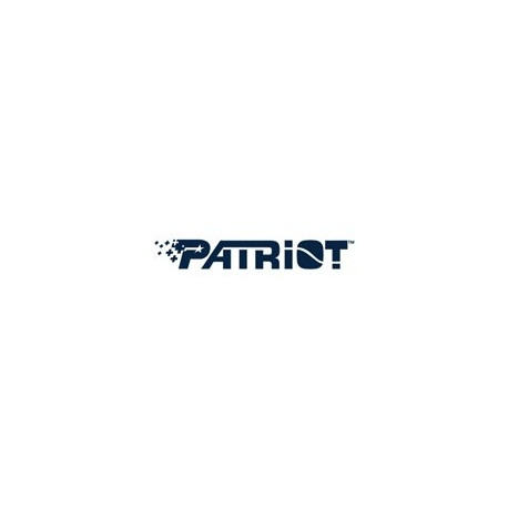 PATRIOT P210 SSD 1TB SATA 3 Internal Solid State Drive 2.5inch
