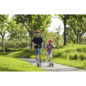 Segway Ninebot eKickscooter ZING C8, grey