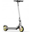 Segway Ninebot eKickscooter ZING C10, grey