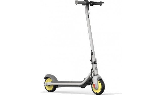Segway Ninebot eKickscooter ZING C10, grey