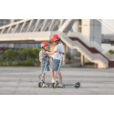 Segway Ninebot eKickscooter ZING C10, grey