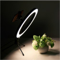 LED Ring Dimmable Table Lamp 12V EOL