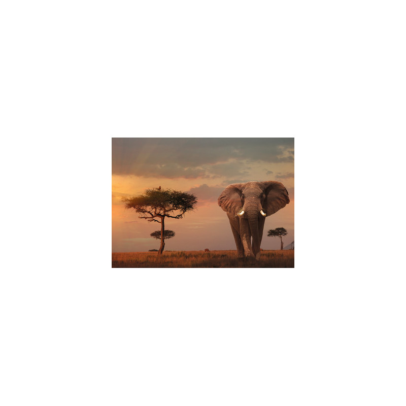 13 Edition, Ravensburger 15159 Nature Nr Elefant in Masai Mara National Park 