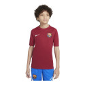 Children's Short Sleeved Football Shirt Nike FC Barcelona (12-13 Years)