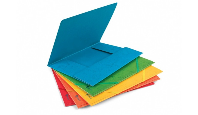 Folder with rubbers Forpus, A4, cardboard, capacity 300 sheets, green