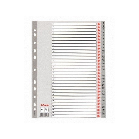 Divider Esselte PP, A4, numbers 1-31, plastic