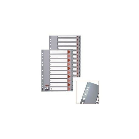 Divider Esselte PP, A4, Jan.-Dec. months, plastic