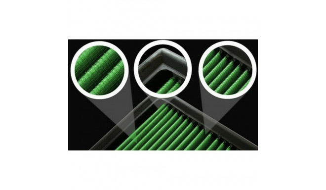 Direct Intake Kit Green Filters P220