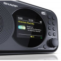 Sharp DR-P320 Portable Digital Black