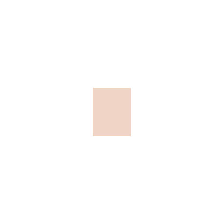 BOURJOIS Paris Healthy Mix Tinted Beautifier (30ml) (001 Fair)