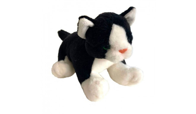 Black cat 30 cm