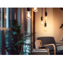 Philips 1-pack ST72 E27 Filament Edison