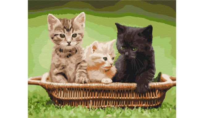 Picture Paint it - Kittens in basket