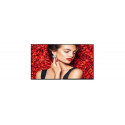 Philips 43BDL4031D/00 signage display Digital signage flat panel 108 cm (42.5") LED 450 cd/m² F