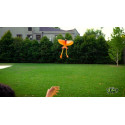 GO GO BIRD Interactive toy Dragon