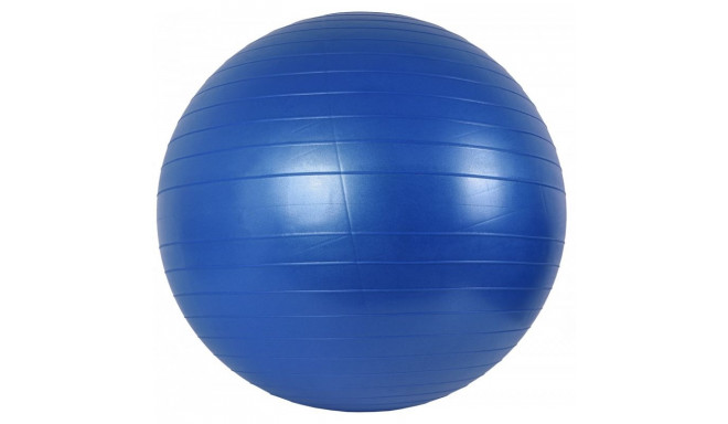 Gym ball 65 cm + pump