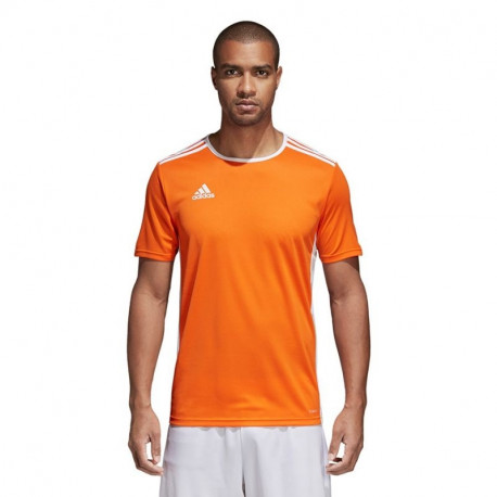 adidas T-särk Entrada 18 CD8366 XS
