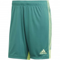 Adidas M Tastigo 19 Shorts DP3251 shorts