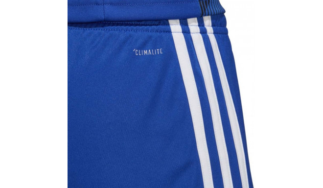 Adidas Tastigo 19 Shorts M DP3682 shorts (XXL)