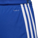 Adidas Tastigo 19 Shorts M DP3682 shorts