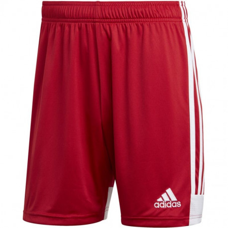 Adidas Tastigo 19 Shorts M DP3681 shorts (L)