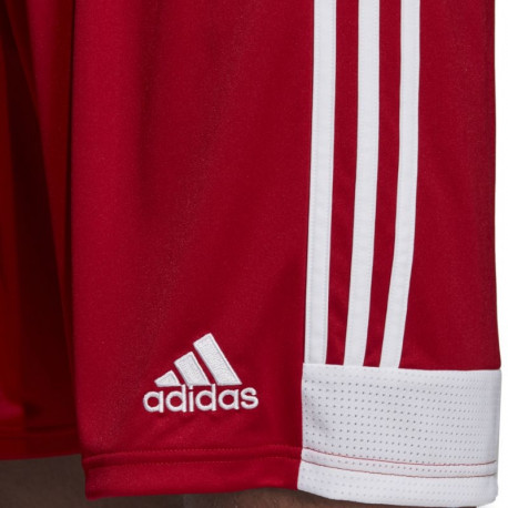 Adidas Tastigo 19 Shorts M DP3681 shorts (S)