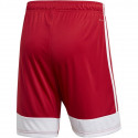 Adidas Tastigo 19 Shorts M DP3681 shorts