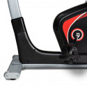 The Flow Fitness DHT2500i programmable bike