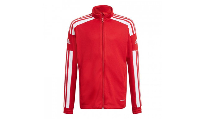 Adidas Squadra 21 Training Youth Jr GP6458 sweatshirt (164)