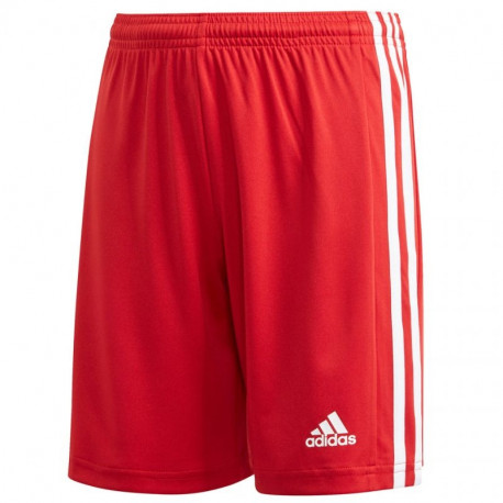 Adidas Squadra 21 Short Youth Jr shorts GN5761 (176cm)