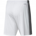 Adidas Squadra 21 Short M GN5773 (XS)