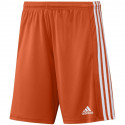 Adidas Squadra 21 Short M GN8084 (XXL)