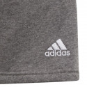 Adidas Tiro 21 Sweat Short Jr GP8806 (140 cm)