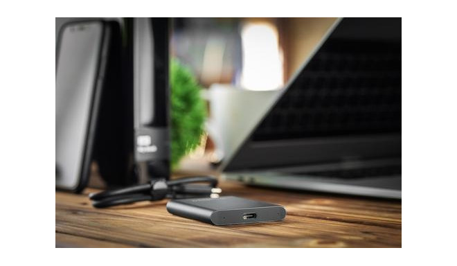 Goodram HL100 512 GB Grey