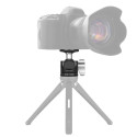 Caruba D 25 Camera Balhoofd