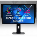 Acer PE0 PE270K - 27" monitor
