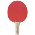 Table tennis bat Dunlop BT10