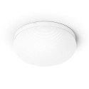 Philips Hue White and colour ambience Flourish ceiling light