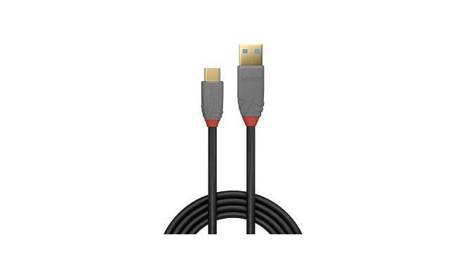 CABLE USB2 C-A 3M/ANTHRA 36888 LINDY