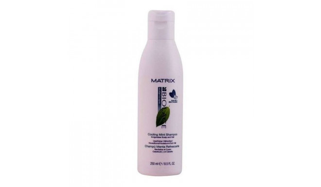 Elustav šampoon Biolage Scalptherapie Biolage 3474630348110 (250 ml) 250 ml