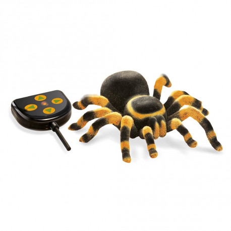 Tarentula R/C, Buki, with controller