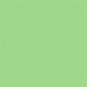 Superior Background Paper 63 Apple 2.72 x 11m