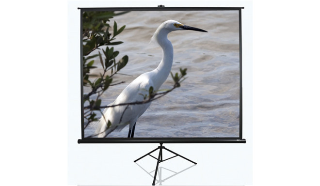 Tripod Series | T120NWV1 | Diagonal 120 " | 4:3 | Viewable screen width (W) 244 cm | White