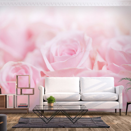 Fototapeet - Ocean of Roses - 250x175