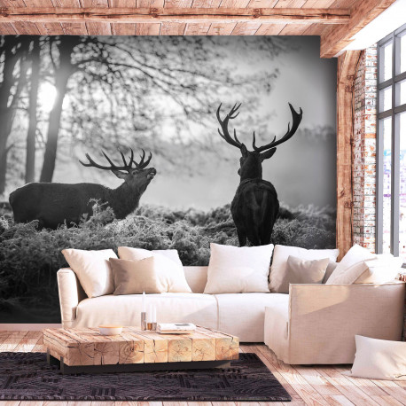 Fototapeet - Deers in the Morning - 150x105