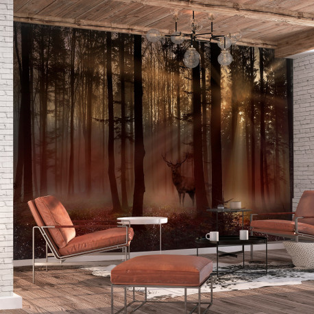 Fototapeet - Mystical Forest - First Variant - 100x70