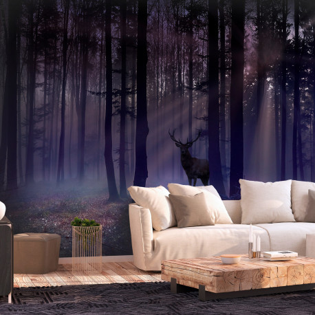 Fototapeet - Mystical Forest - Second Variant - 200x140