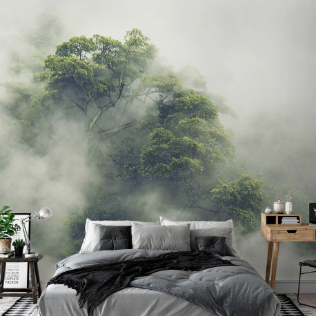 Fototapeet - Foggy Amazon - 150x105