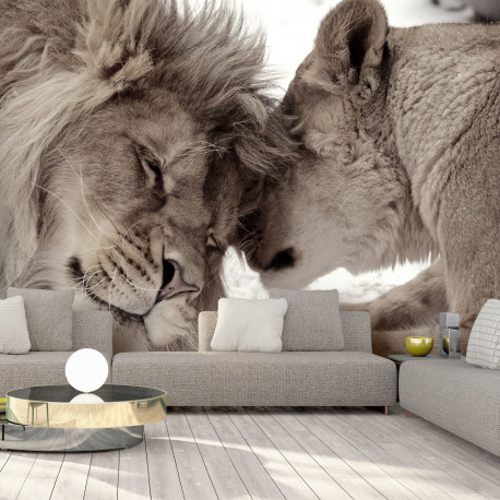Fototapeet - Lion Tenderness (Sepia) - 150x105